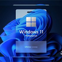 Windows 11 Pro (PC)